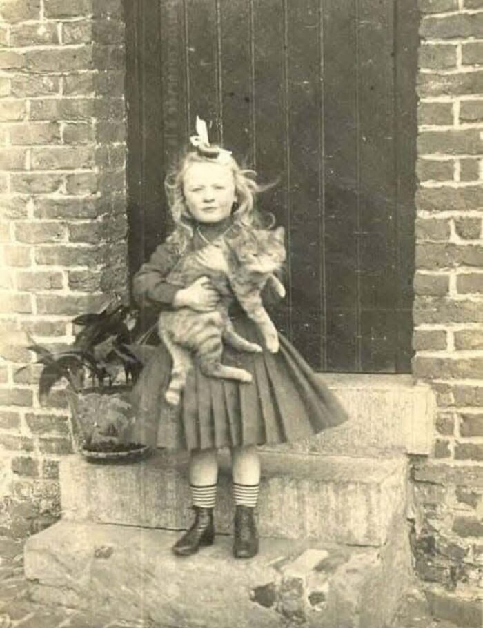 30 Vintage Cat Pics That Prove Cats Have Always Been Total Showstoppers