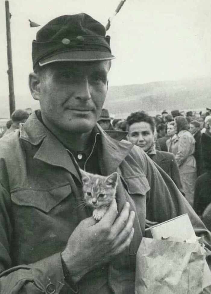 30 Vintage Cat Pics That Prove Cats Have Always Been Total Showstoppers
