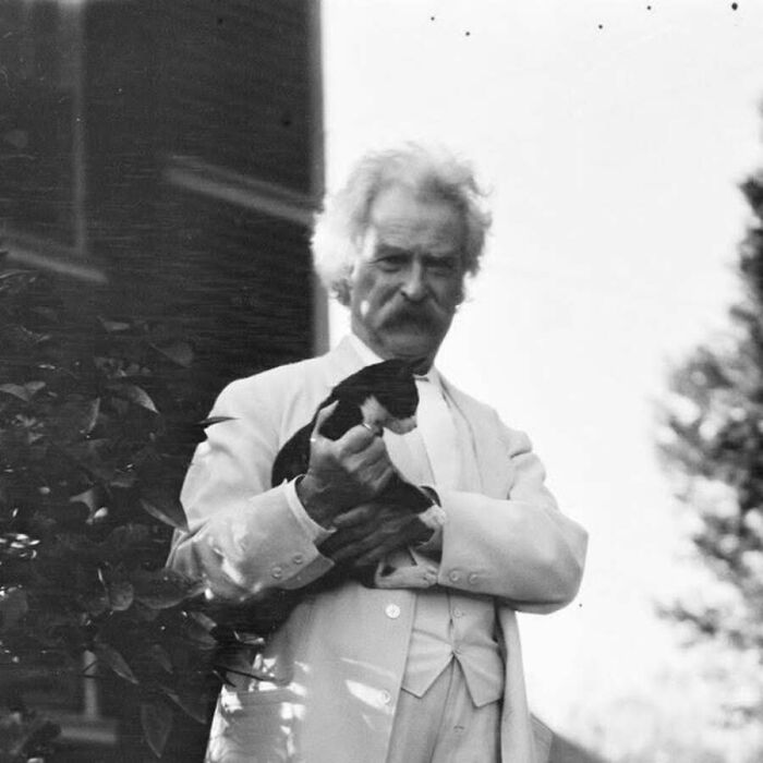 30 Vintage Cat Pics That Prove Cats Have Always Been Total Showstoppers