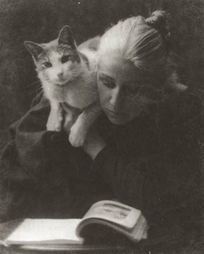 30 Vintage Cat Pics That Prove Cats Have Always Been Total Showstoppers