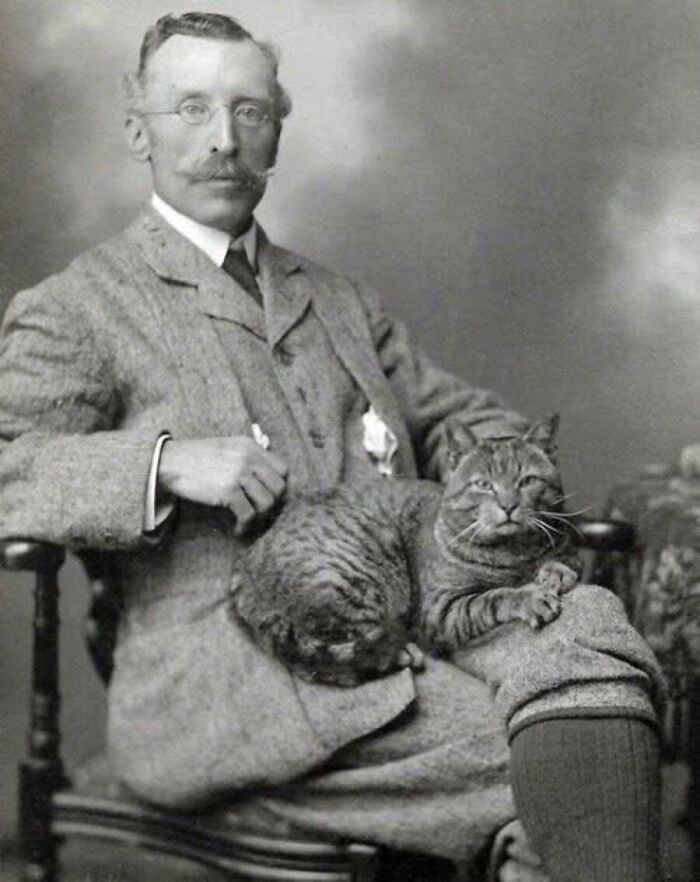 30 Vintage Cat Pics That Prove Cats Have Always Been Total Showstoppers