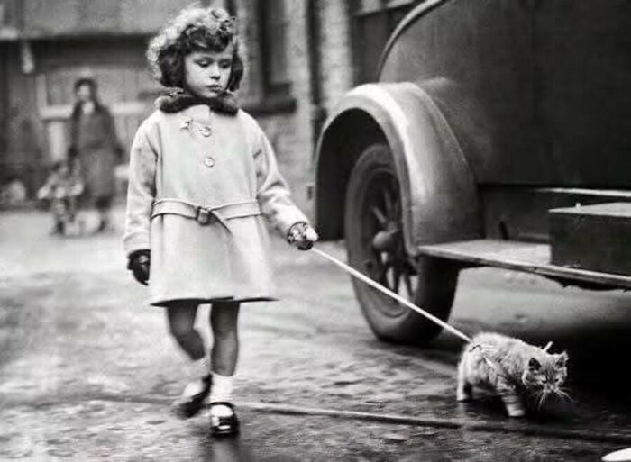 30 Vintage Cat Pics That Prove Cats Have Always Been Total Showstoppers