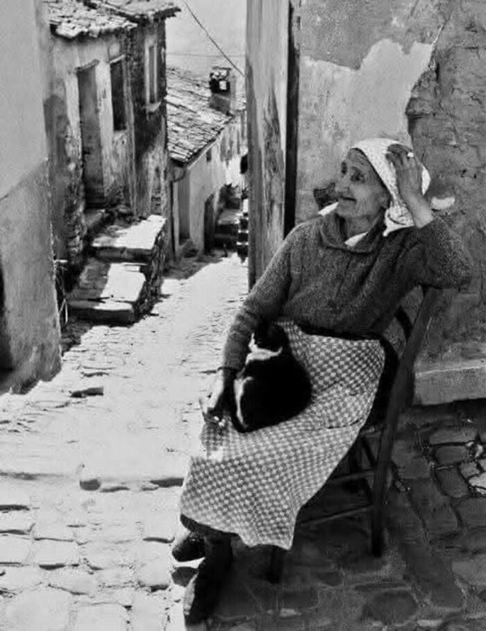 30 Vintage Cat Pics That Prove Cats Have Always Been Total Showstoppers