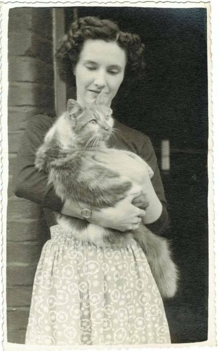 30 Vintage Cat Pics That Prove Cats Have Always Been Total Showstoppers