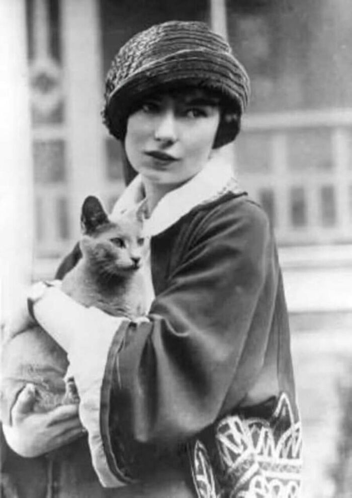 30 Vintage Cat Pics That Prove Cats Have Always Been Total Showstoppers