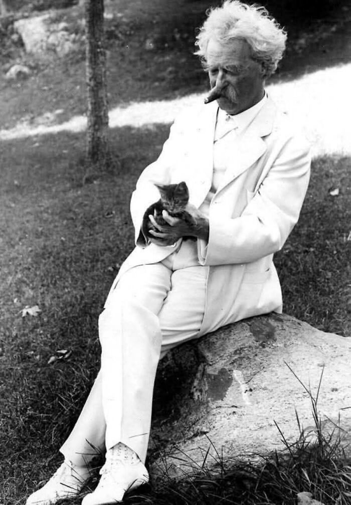 30 Vintage Cat Pics That Prove Cats Have Always Been Total Showstoppers