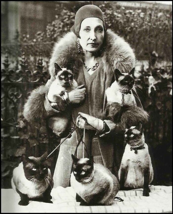 30 Vintage Cat Pics That Prove Cats Have Always Been Total Showstoppers