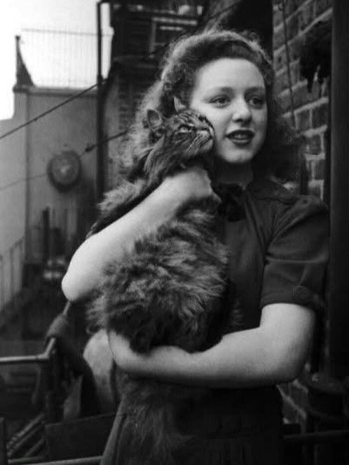 30 Vintage Cat Pics That Prove Cats Have Always Been Total Showstoppers