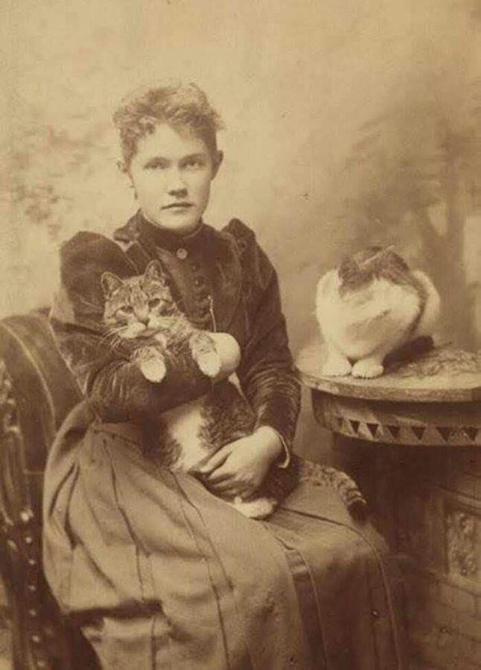 30 Vintage Cat Pics That Prove Cats Have Always Been Total Showstoppers