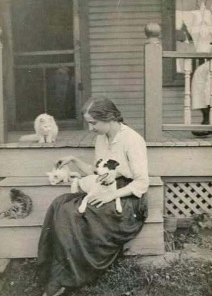 30 Vintage Cat Pics That Prove Cats Have Always Been Total Showstoppers