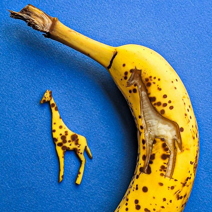 39 Everyday Objects That Totally Transformed Into Playful Pics by Romain Joly