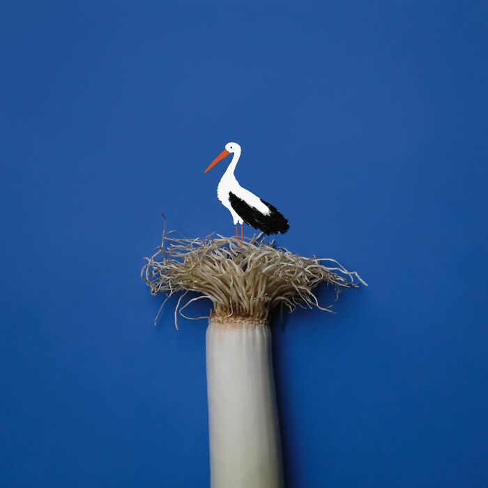 39 Everyday Objects That Totally Transformed Into Playful Pics by Romain Joly