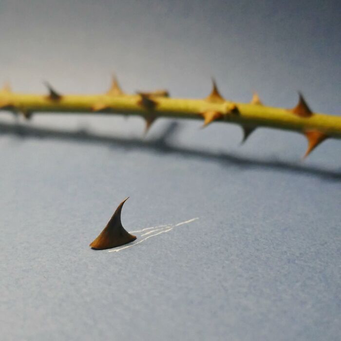 39 Everyday Objects That Totally Transformed Into Playful Pics by Romain Joly