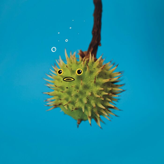 39 Everyday Objects That Totally Transformed Into Playful Pics by Romain Joly