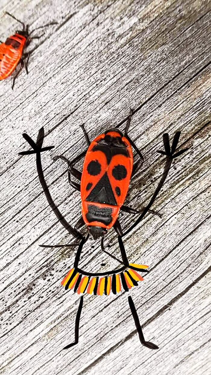 39 Everyday Objects That Totally Transformed Into Playful Pics by Romain Joly