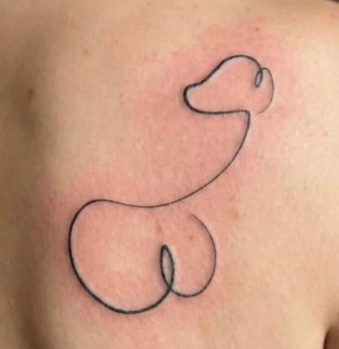 Supposed To Be A Minimalist Pup… Nope