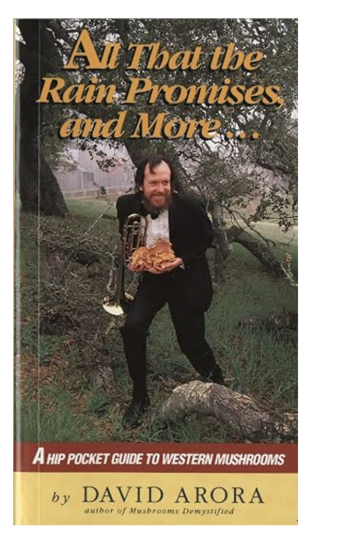 This Mushroom Guide Looks More Like a Science Experiment Gone Wrong
