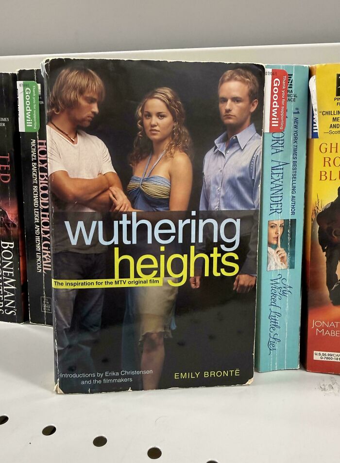 Wuthering Heights? More Like Wuthering Why-Though Kind of Cover