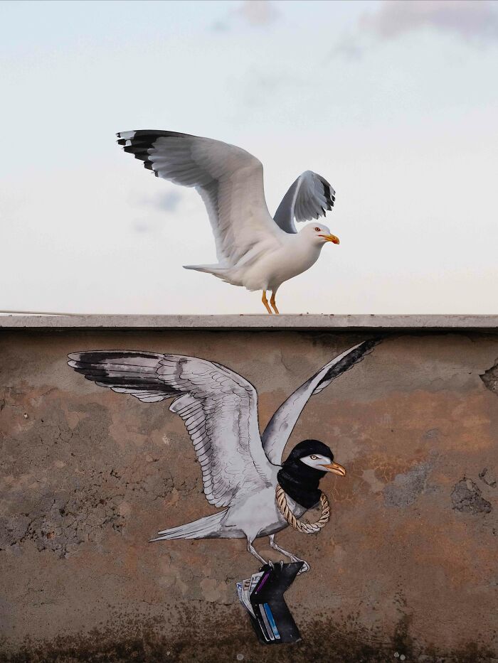 Top Pick, Urban Birds: Rooftop Gulls Doing Their Thing