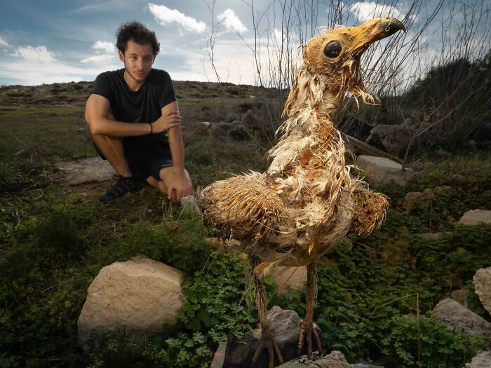 Bronze, Conservation Drama: When a Vulture’s Past Shows Up on the Road
