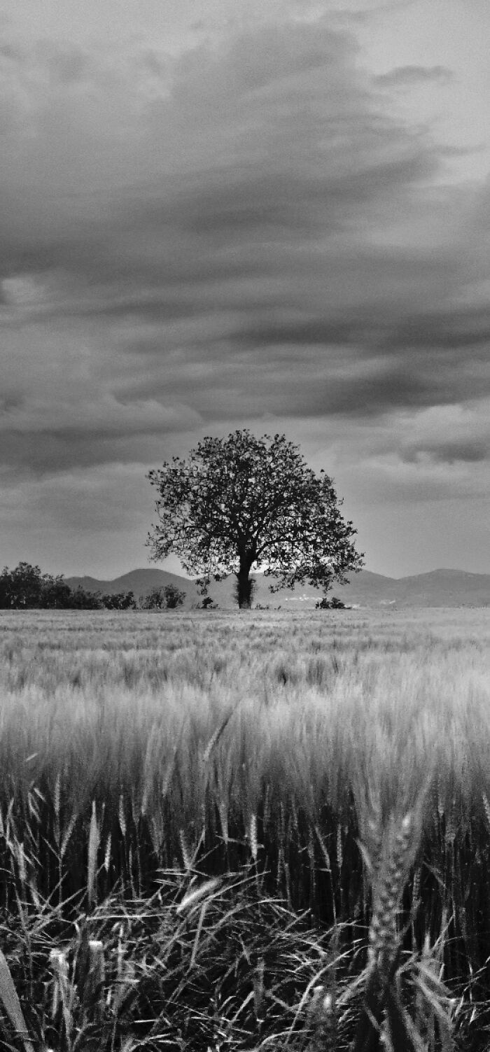 Getting Lost in a Silent Journey