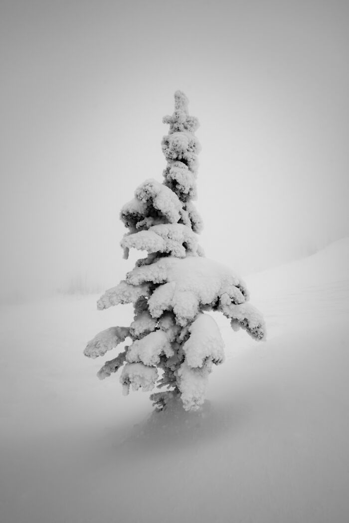 Winter Mountain Magic