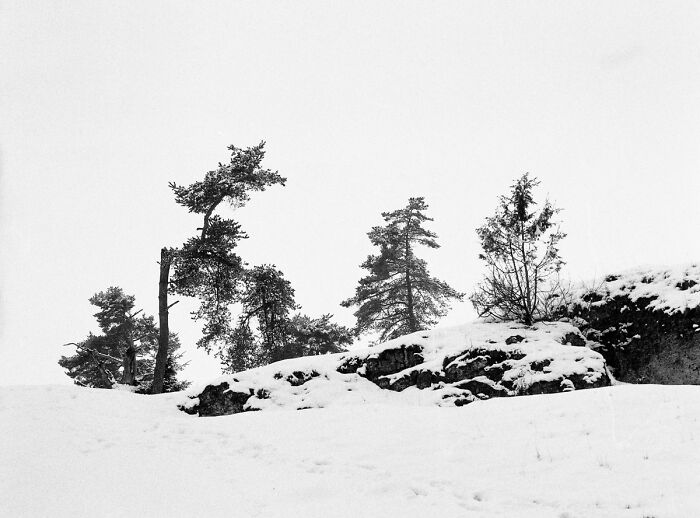 A Winter Escape