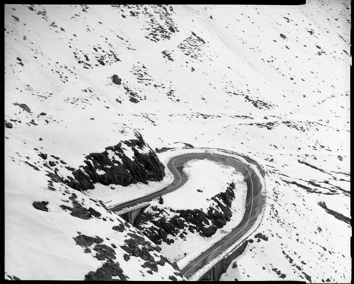 The Long and Winding Road Home