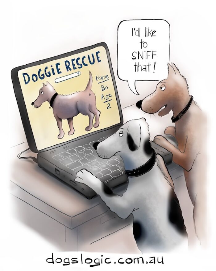 Rescue Mission!