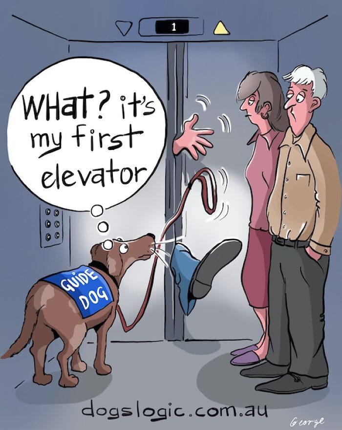 Guide Dog’s Got This