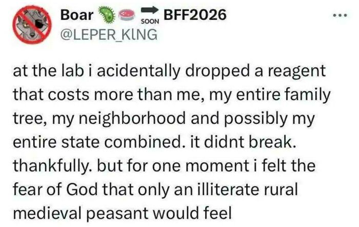 The Illiterate Medieval Peasant Life