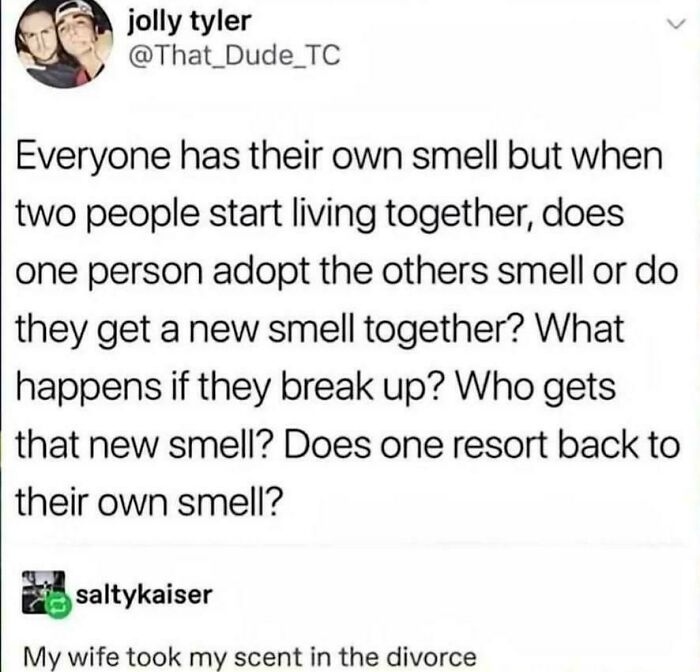 Imagine Losing Custody Of Your Own Musk