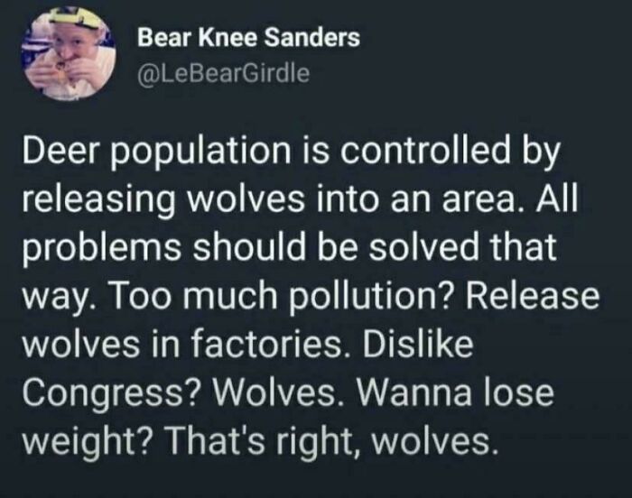 Wait, People Really Said These Weirdly Specific Things?!