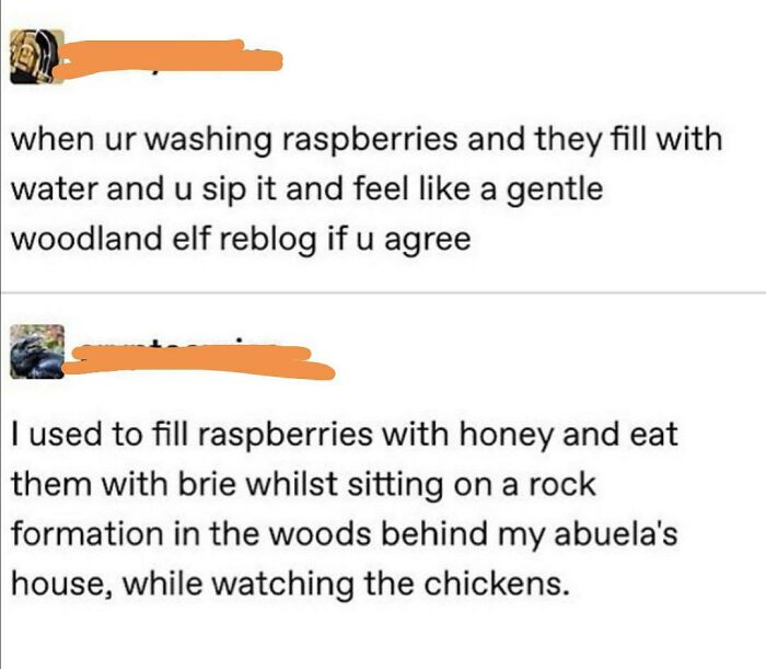 Wait, People Really Said These Weirdly Specific Things?!