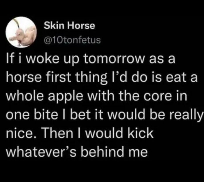 Wait, People Really Said These Weirdly Specific Things?!