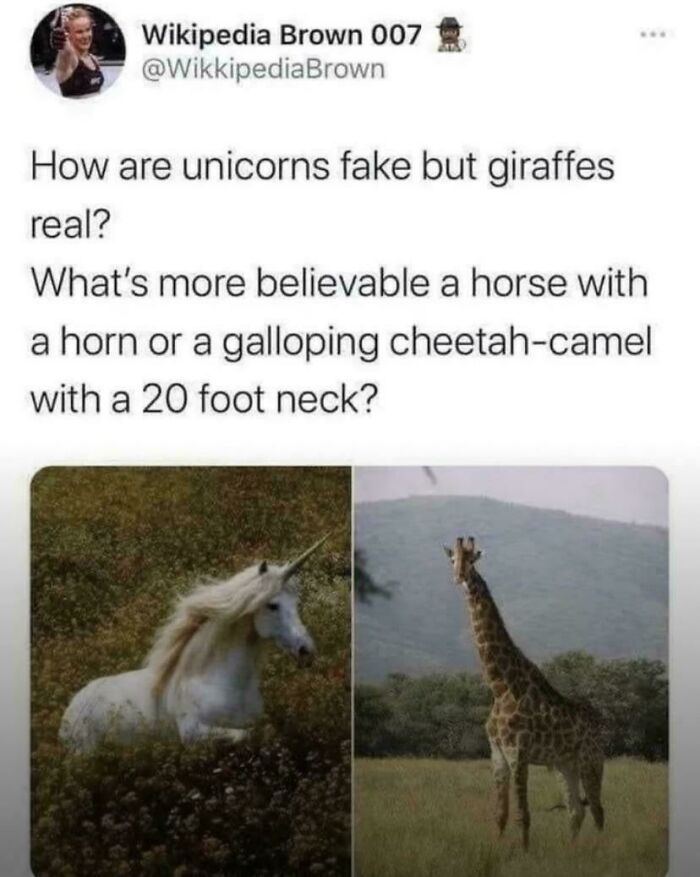 Wait, People Really Said These Weirdly Specific Things?!