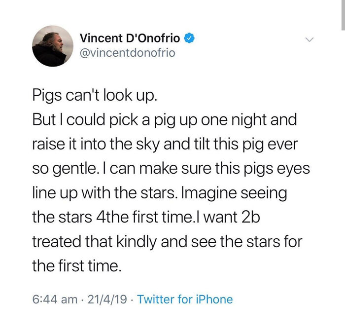 Wait, People Really Said These Weirdly Specific Things?!