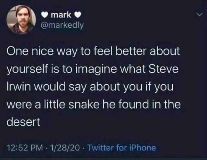 Wait, People Really Said These Weirdly Specific Things?!