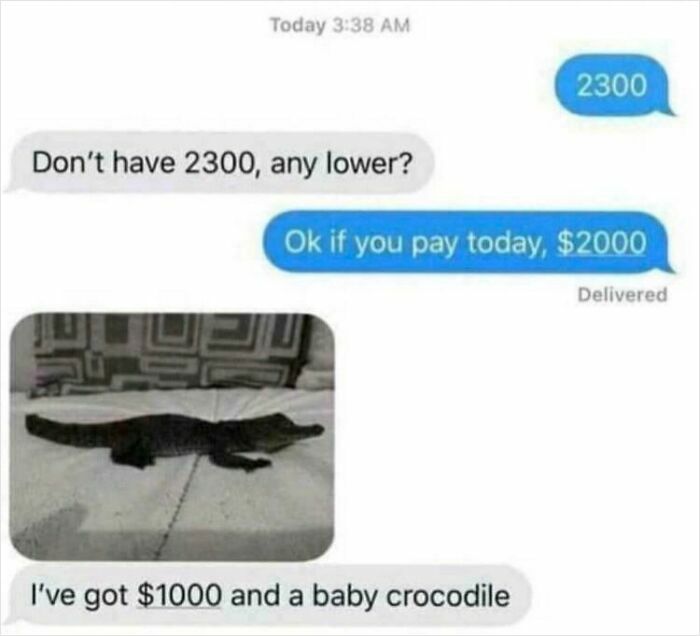 Not Your Typical Choosing Beggar