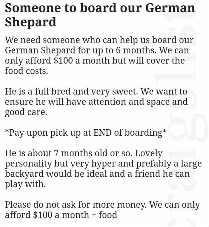 Pet Boarding For 6 Months, But Only $100 A Month? LOL