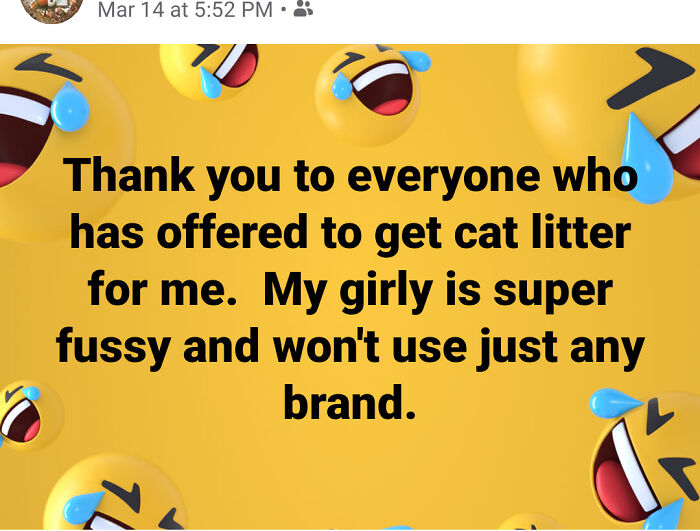 Aunt Turns Down Free Cat Litter Because Her Picky Cat’s A Diva