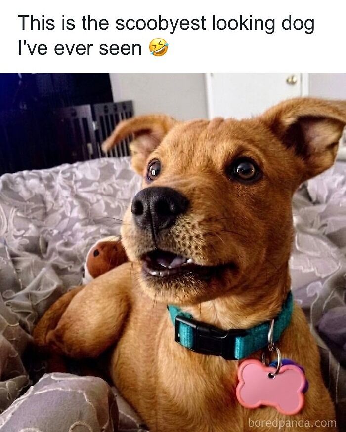 70 Fun And Bittersweet 90s Memes That Take You Back (And Make You Smile)