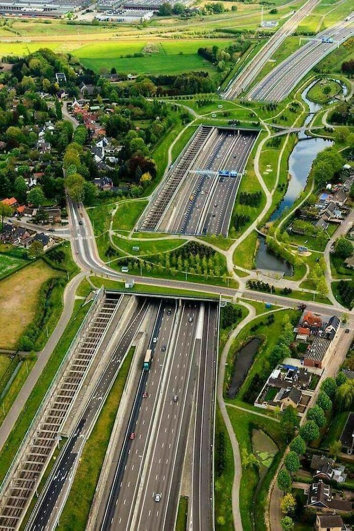 Ecoducts In The Netherlands: Bridges For Animals AND People
