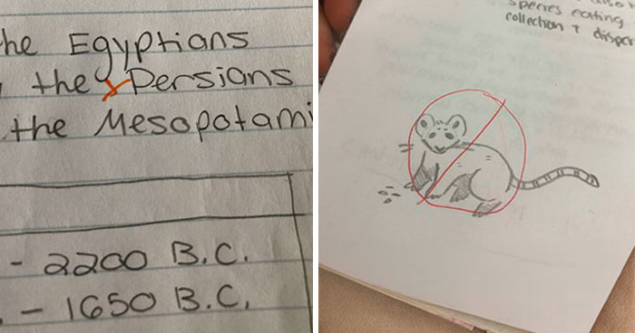 Wait, Teachers Can Be This Ridiculous?