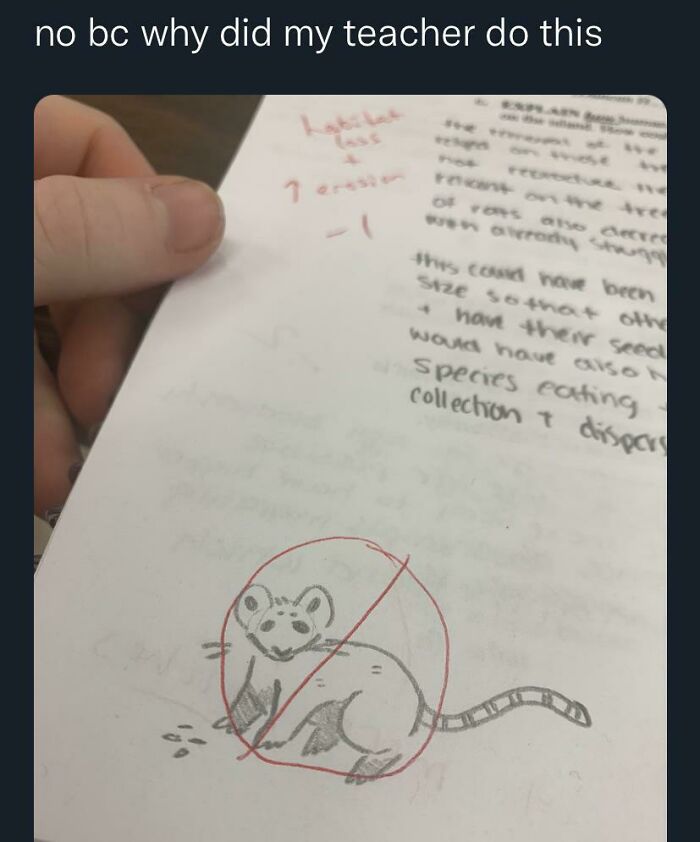 Teachers Like This Absolutely Suck