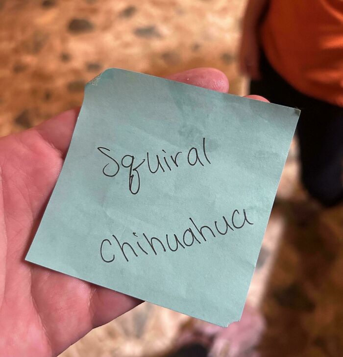 This Note From My Kid’s 2nd Grade Teacher Is Pure "Squirrel" Talk