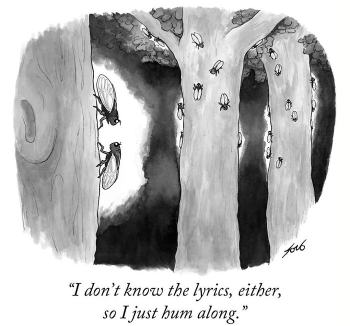 54 One-Panel Comics By Tom Toro That’ll Sneak Up On Your Funny Bone