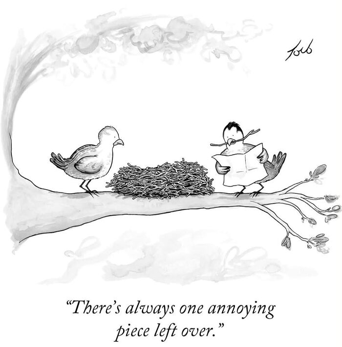 54 One-Panel Comics By Tom Toro That’ll Sneak Up On Your Funny Bone