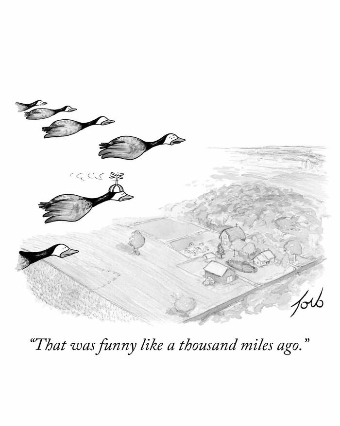 54 One-Panel Comics By Tom Toro That’ll Sneak Up On Your Funny Bone