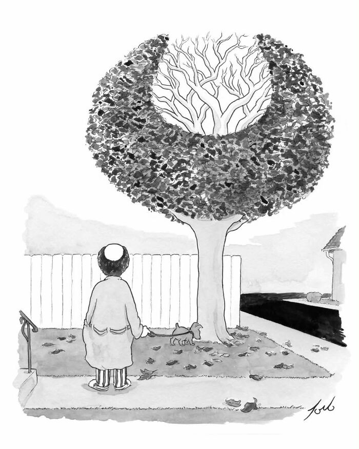 54 One-Panel Comics By Tom Toro That’ll Sneak Up On Your Funny Bone
